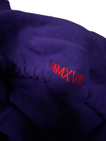 TRAVIS SCOTT BIRDS EYE VIEW TOUR UNISEX HOODY