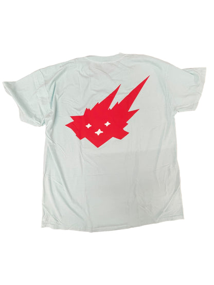 Travis Scott Down to Earth