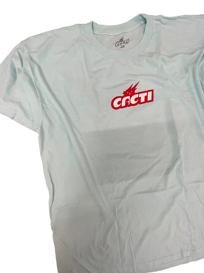 Travis Scott Down to Earth