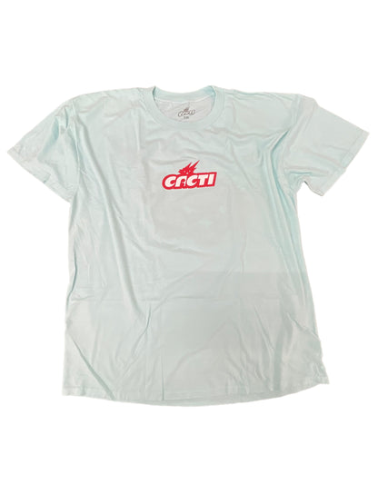 Travis Scott Down to Earth